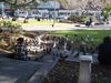 P7260057.JPG